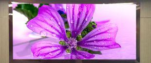 連鎖火鍋店老板哭訴：門頭LED廣告機讓我多賺了110萬，但千萬別學我踩這3個坑！”